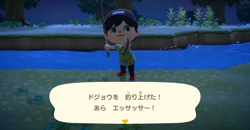 ドジョウを釣り上げた！あら エッサッサー！