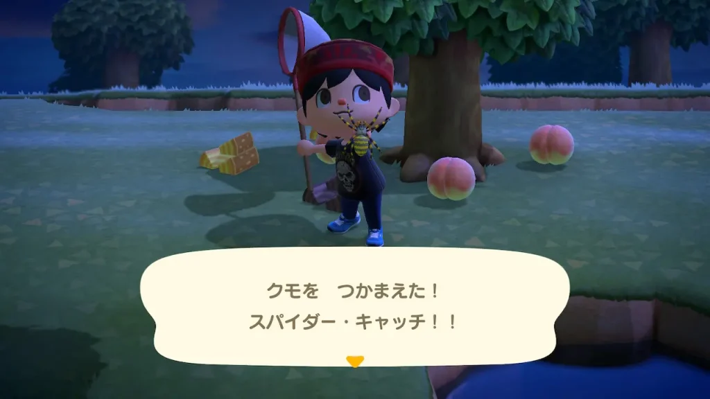 クモを捕まえた！スパイダー・キャッチ！！