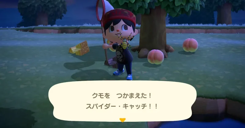 クモを捕まえた！スパイダー・キャッチ！！