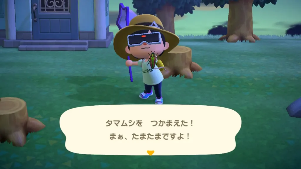 タマムシを捕まえた！まぁ、たまたまですよ！