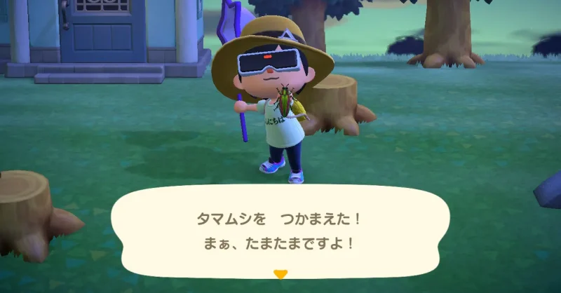 タマムシを捕まえた！まぁ、たまたまですよ！