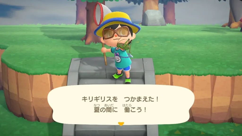 キリギリスを捕まえた！夏の間に 働こう！