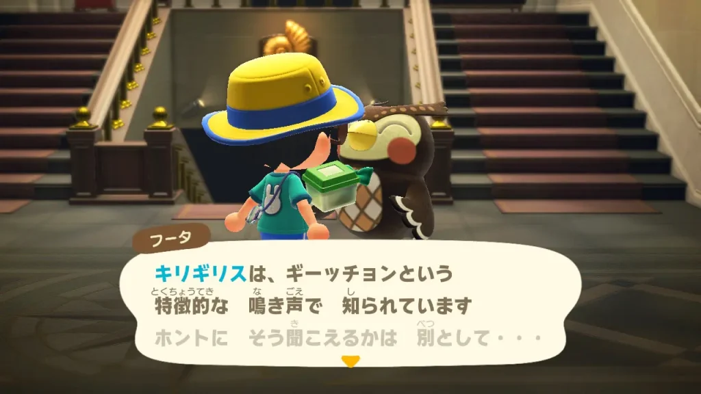 キリギリス、ギーッチョンという特徴的な 鳴き声で 知られています（ホントに そう聞こえるかは 別として・・・）