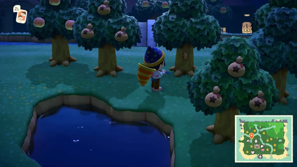 セミのぬけがらの出現例