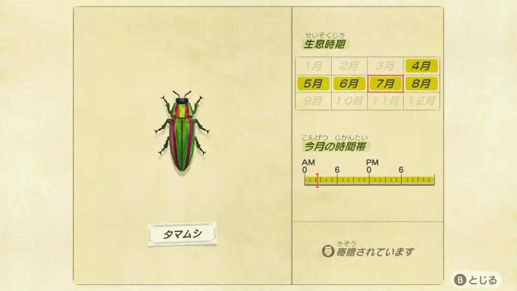 タマムシの虫図鑑
