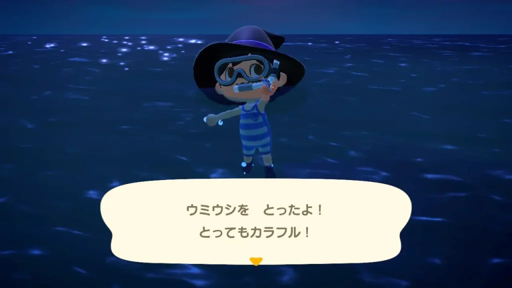 ウミウシをとったよ！とってもカラフル！
