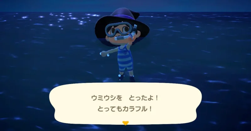 ウミウシをとったよ！とってもカラフル！