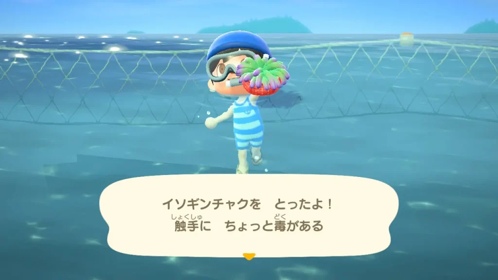 イソギンチャクを とったよ！触手に ちょっと毒がある