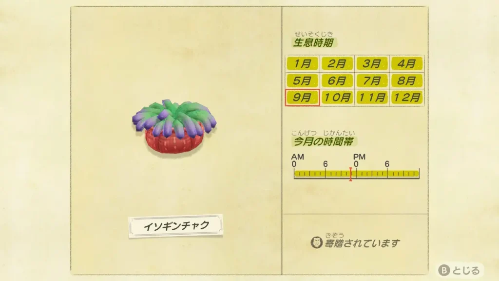 イソギンチャクの海の幸図鑑