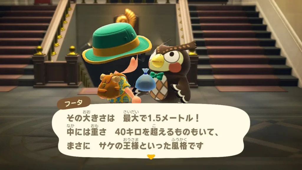 その大きさは 最大1.5メートル！中には重さ 40キロを超えるものもいて、まさに サケの王様といった風格です